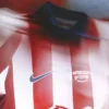 Jersey Chivas Local 2025-2026