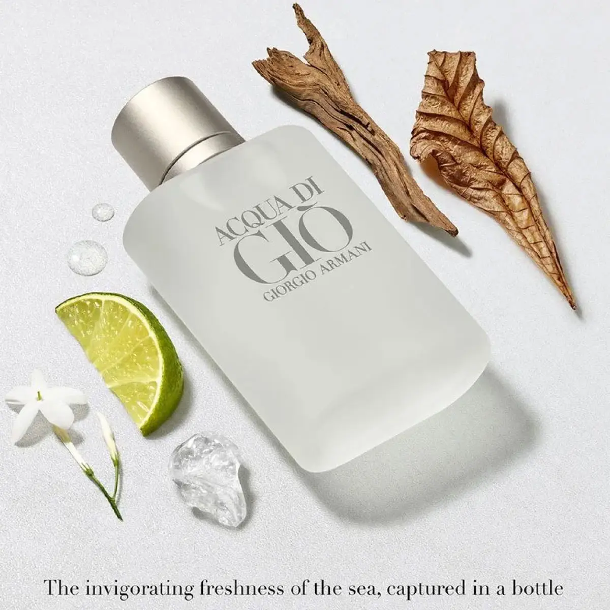Acqua Di Gio Homme Edt 100 mL Hombre
