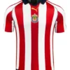 jersey chivas conmemorativa 20 años