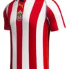jersey chivas conmemorativa 20 años