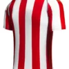 jersey chivas conmemorativa 20 años
