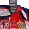 Jersey Chivas Local 2025-2026