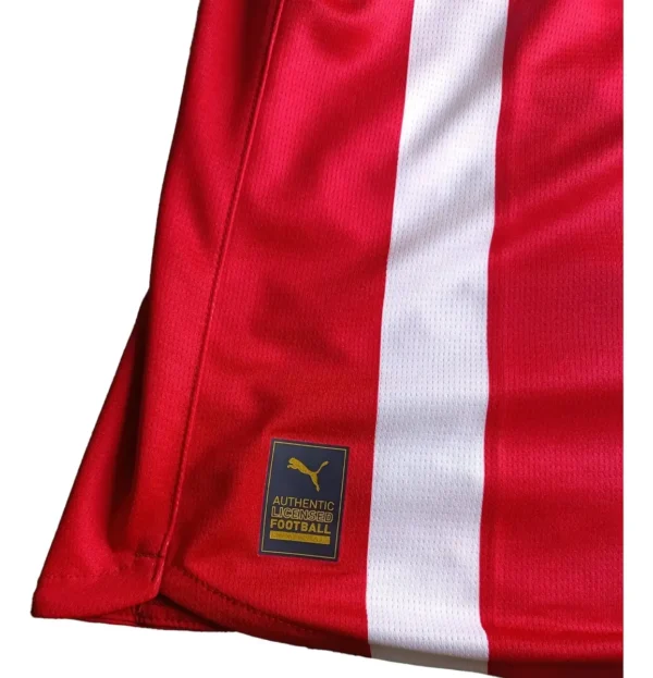 Jersey Chivas Local 2025-2026