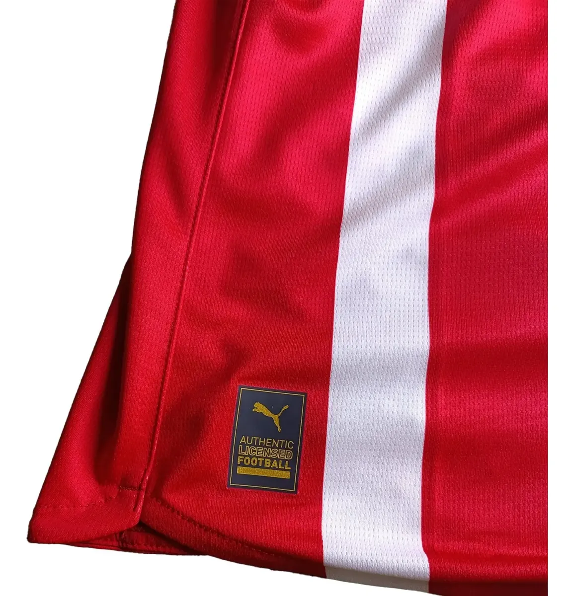 Jersey Chivas Local 2025-2026